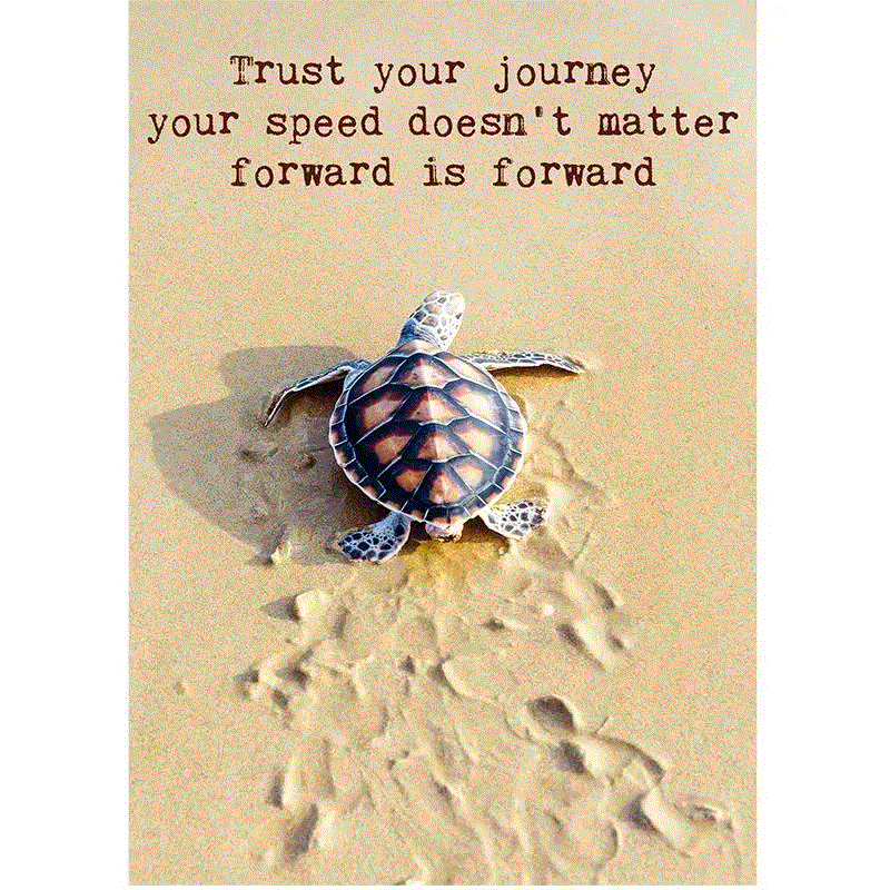 Hovedbilde Postkort Trust your journey ...