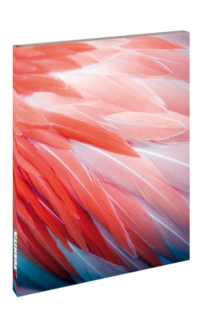 Hovedbilde Flamingo Fjær Skrivebok