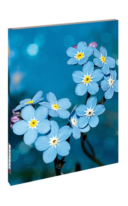 Hovedbilde Villblomst Skrivebok
