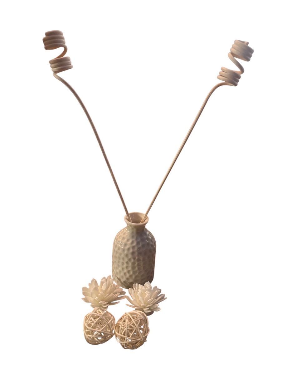 Duftpinnesett med Vase